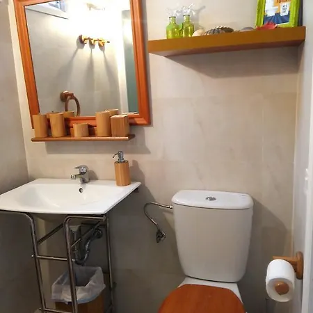 Apartman Oasis Tropical