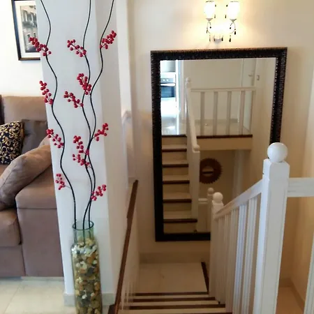 Oasis Tropical كالاو سالفاجي